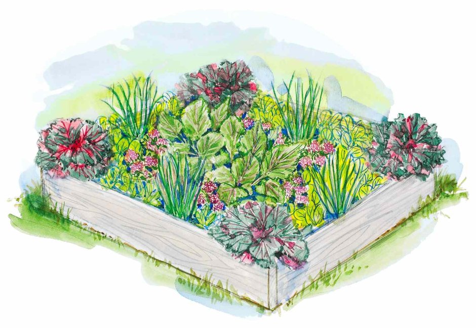 Куст с цветами вектор