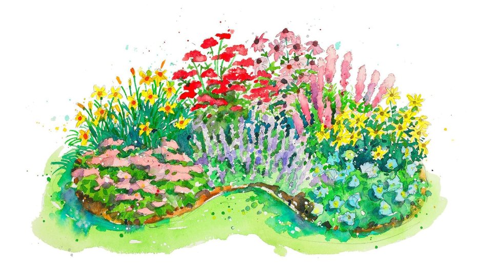 Цветы на клумбе для детей