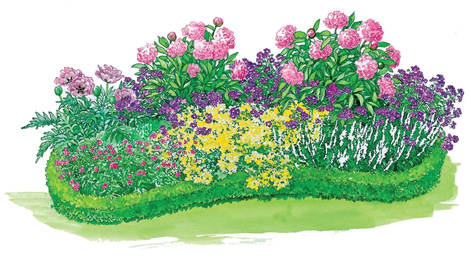 Трава с цветами бордюр