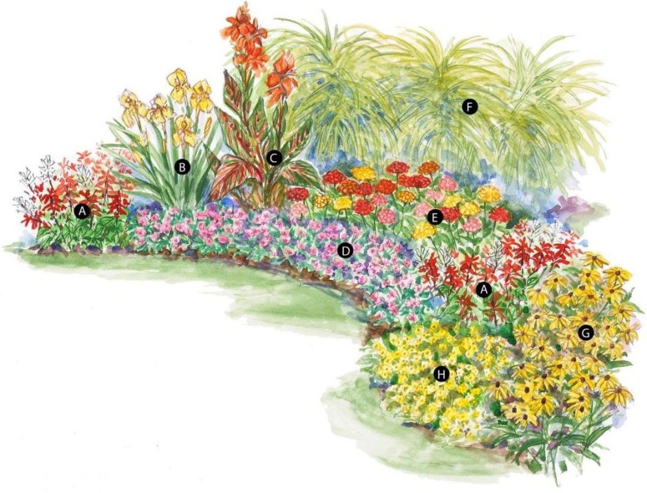 Сад непрерывного цветения Натальи Петренко