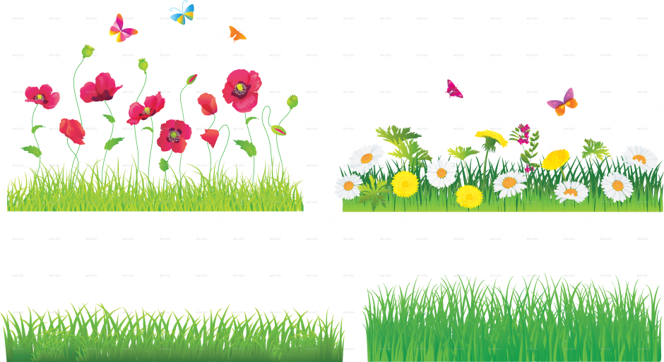 Эскиз клумбы