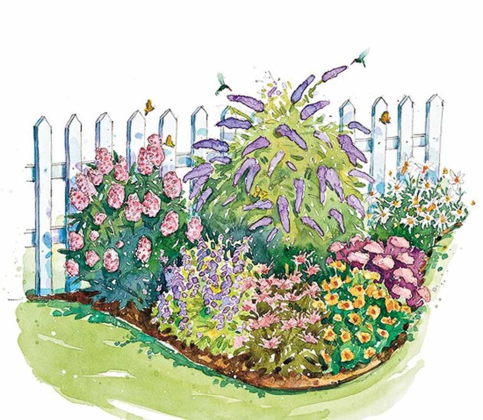 Ландшафтный скетч клумба миксбордер