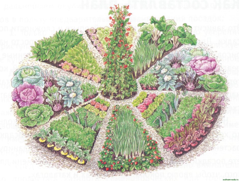 Цветник для детей