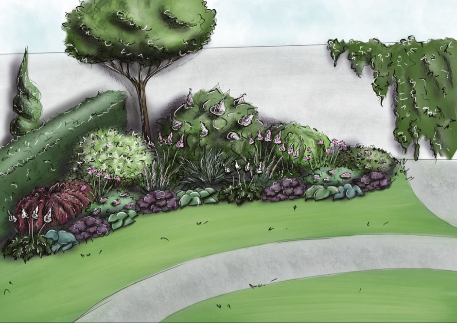 Клумба цветов на прозрачном фоне