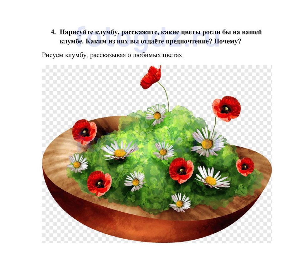 Клумба с многолетниками и однолетниками