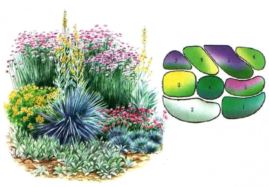 Ландшафтный дизайн рисунок