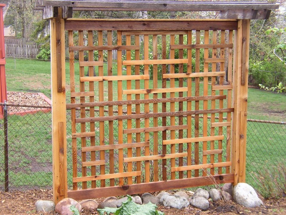 Необычные шпалеры в беседку