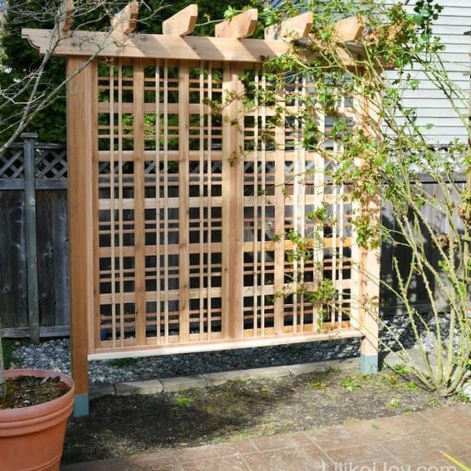 Шпалера пергола для вьющихся растений