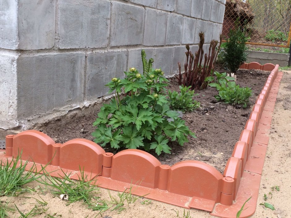 Бордюр из кирпича для клумбы