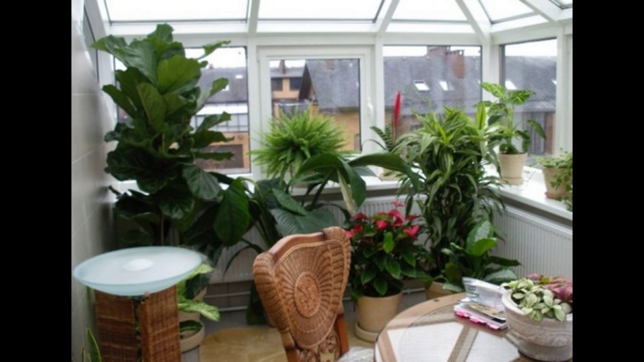 Зимний сад на лоджии
