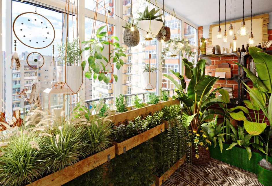 Сад оранжерея на балконе