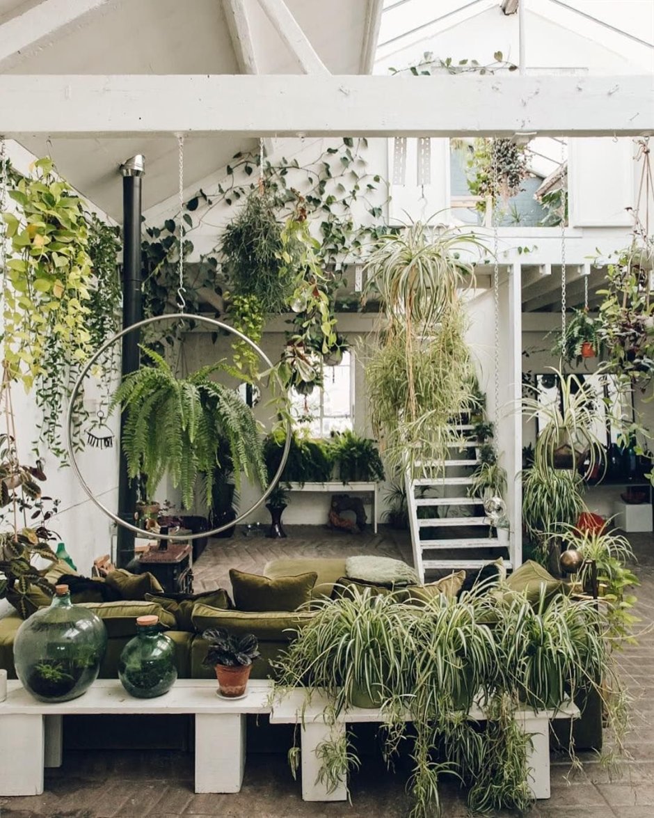 Горшечное Озеленение садик ампельных растений