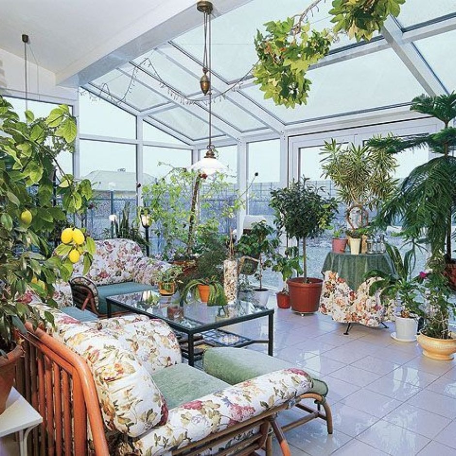 Оранжерея в квартире