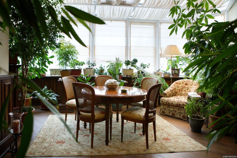 Цветы в интерьере квартиры