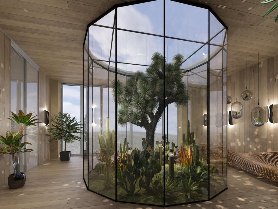 Зимний сад в доме