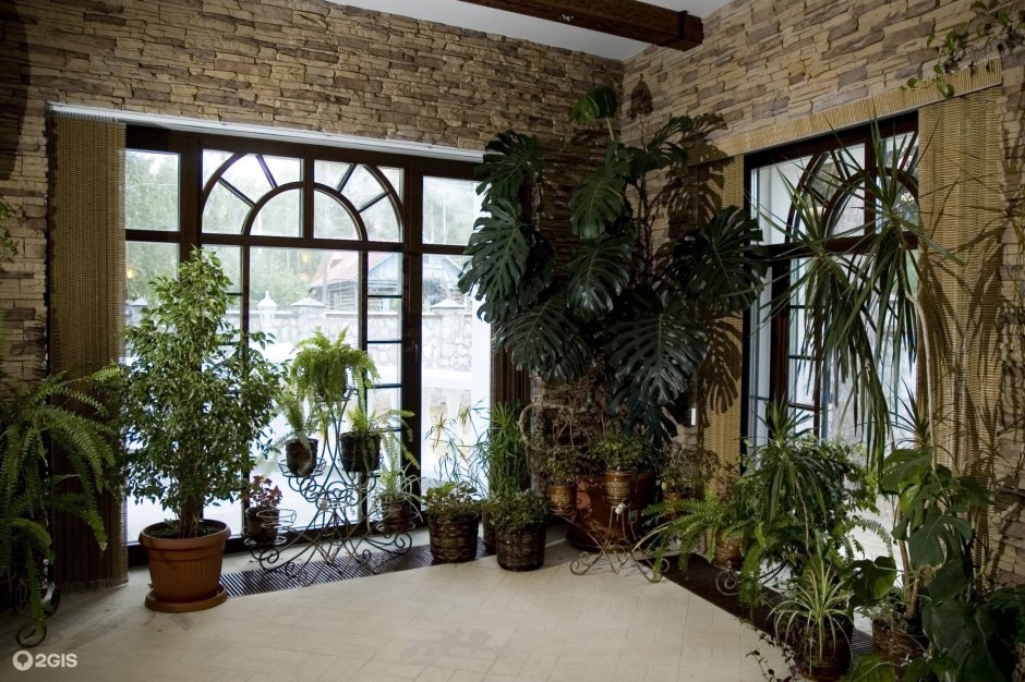 Зимний сад в доме с арочными окнами