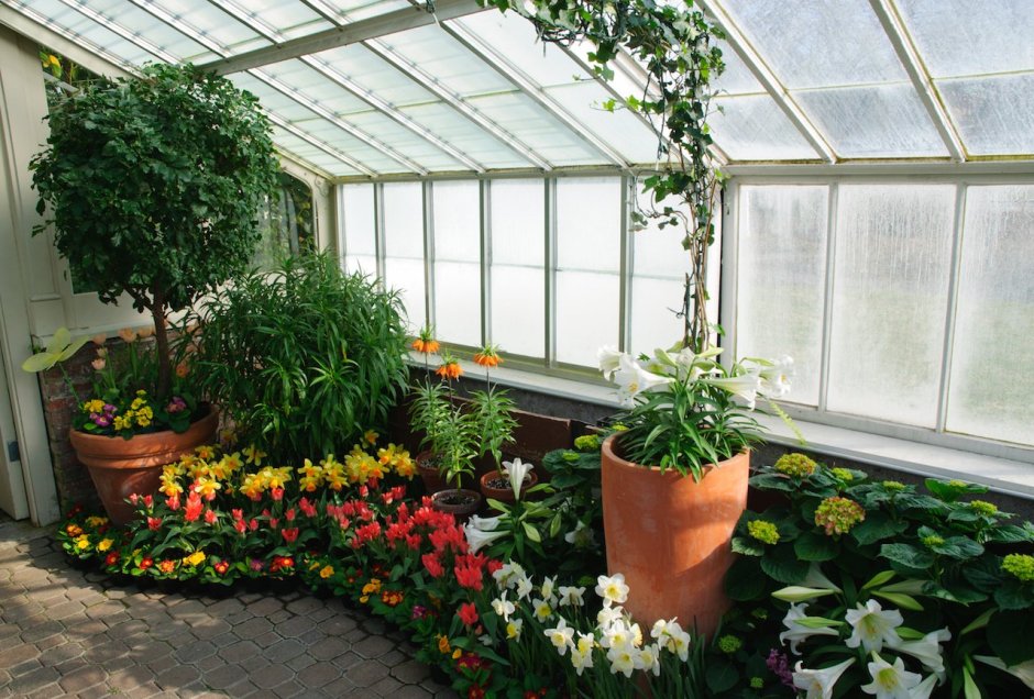 Шешко оранжереи, теплицы, зимние сады