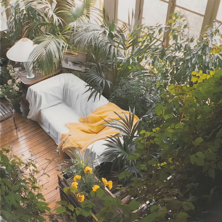 Зимний сад в комнате