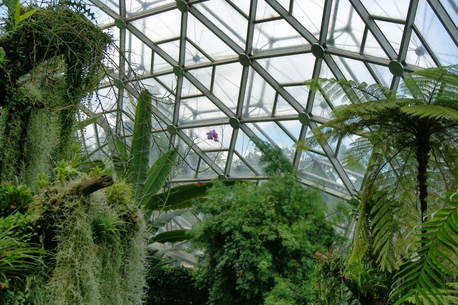 Эстетика растений Ботанический сад