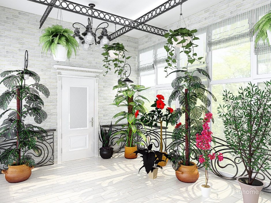 Зимний сад Кесадо-Алонсо