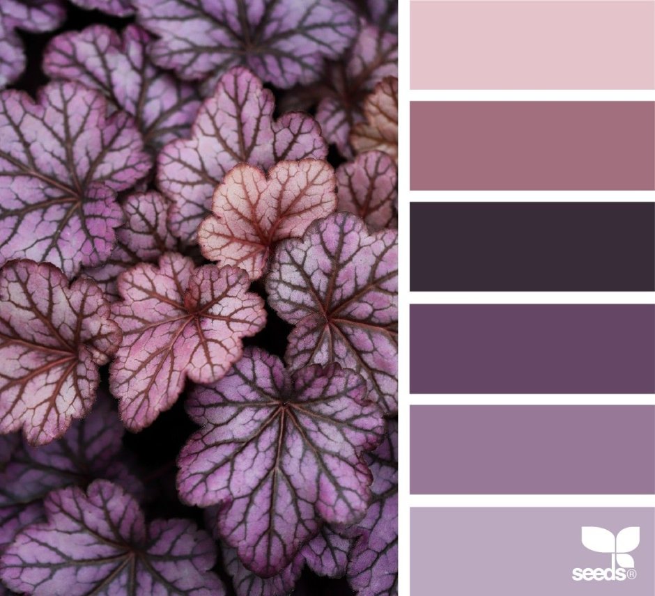 Сочетание серого и голубого в интерьере