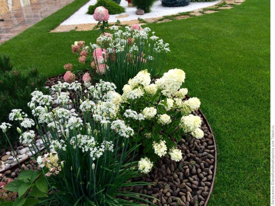 Клумба Хоста пион гортензия