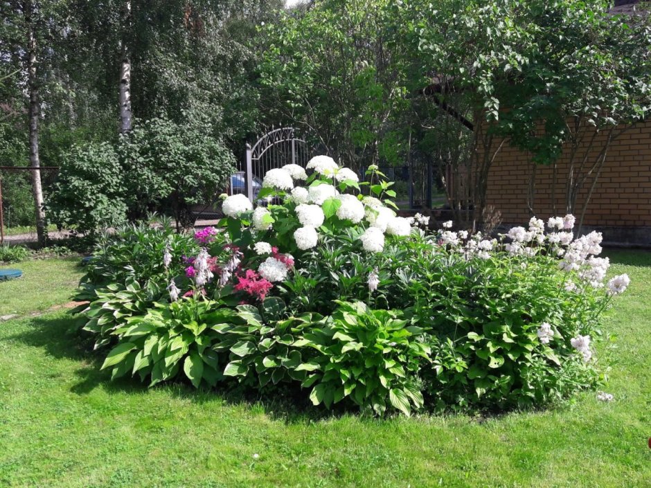 Миксборд гортензия пион