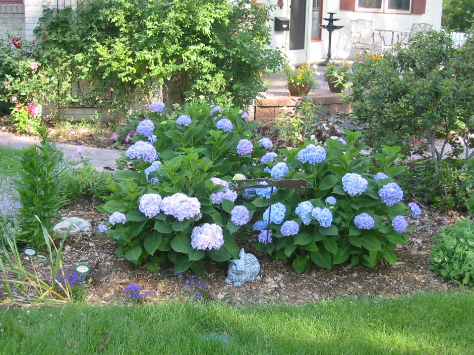 Рокарий с гортензией