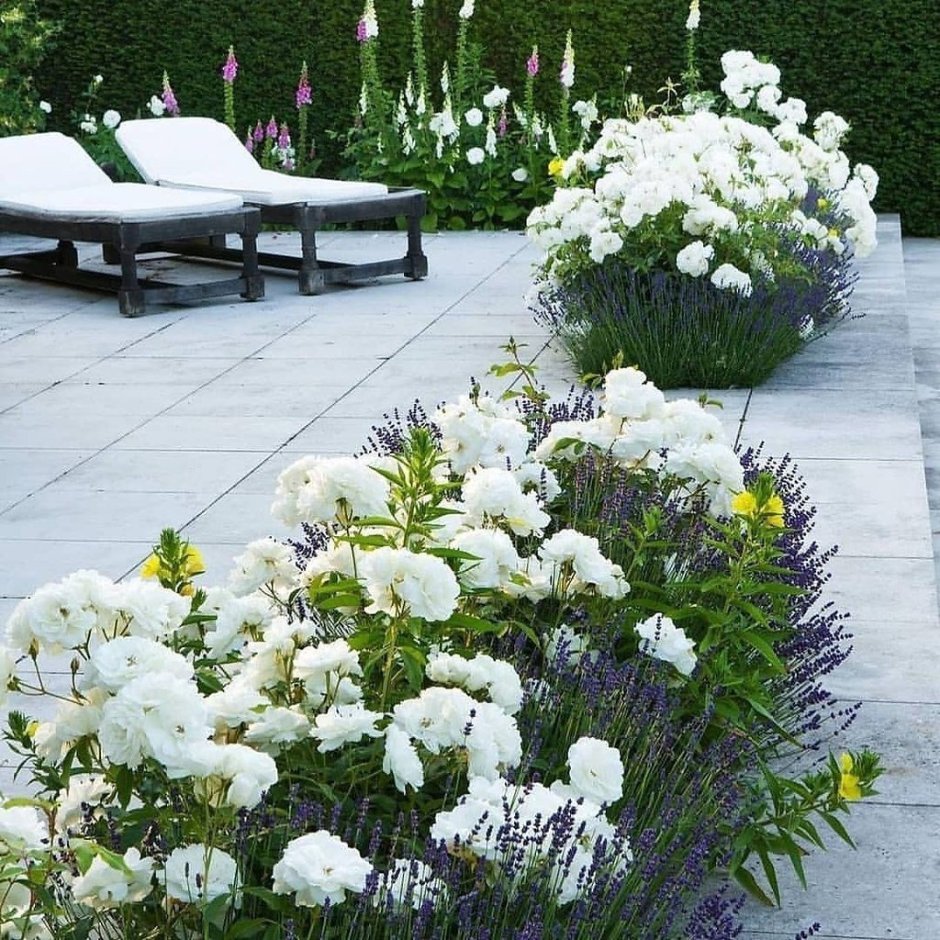 Миксбордер в белых тонах