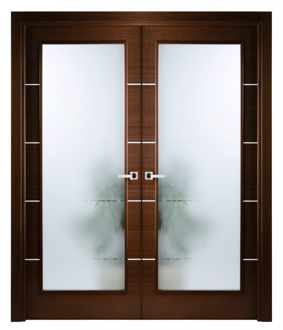 Двухстворчатая стеклянная дверь