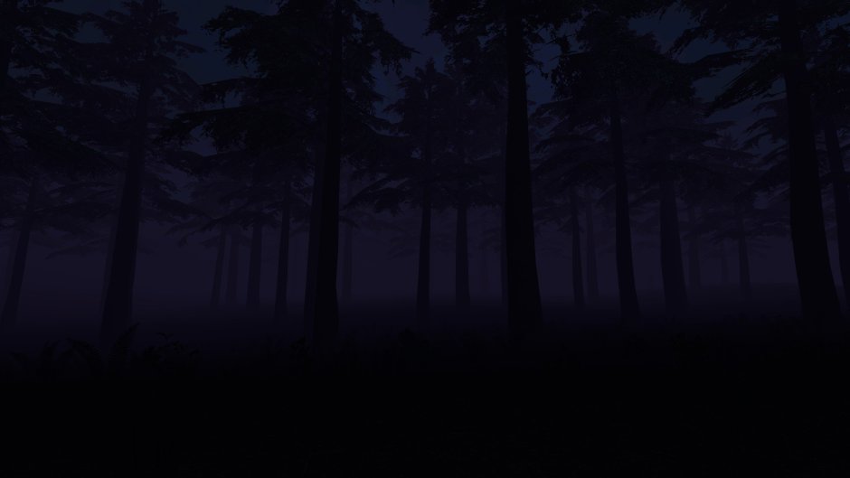 Гача фон глушь лес ночь