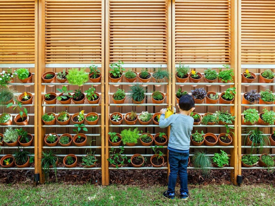 Вертикальный огород