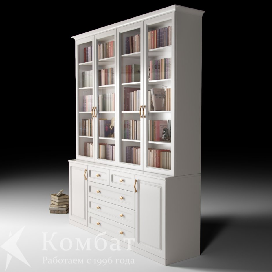 Книжный шкаф Моне 2. 2