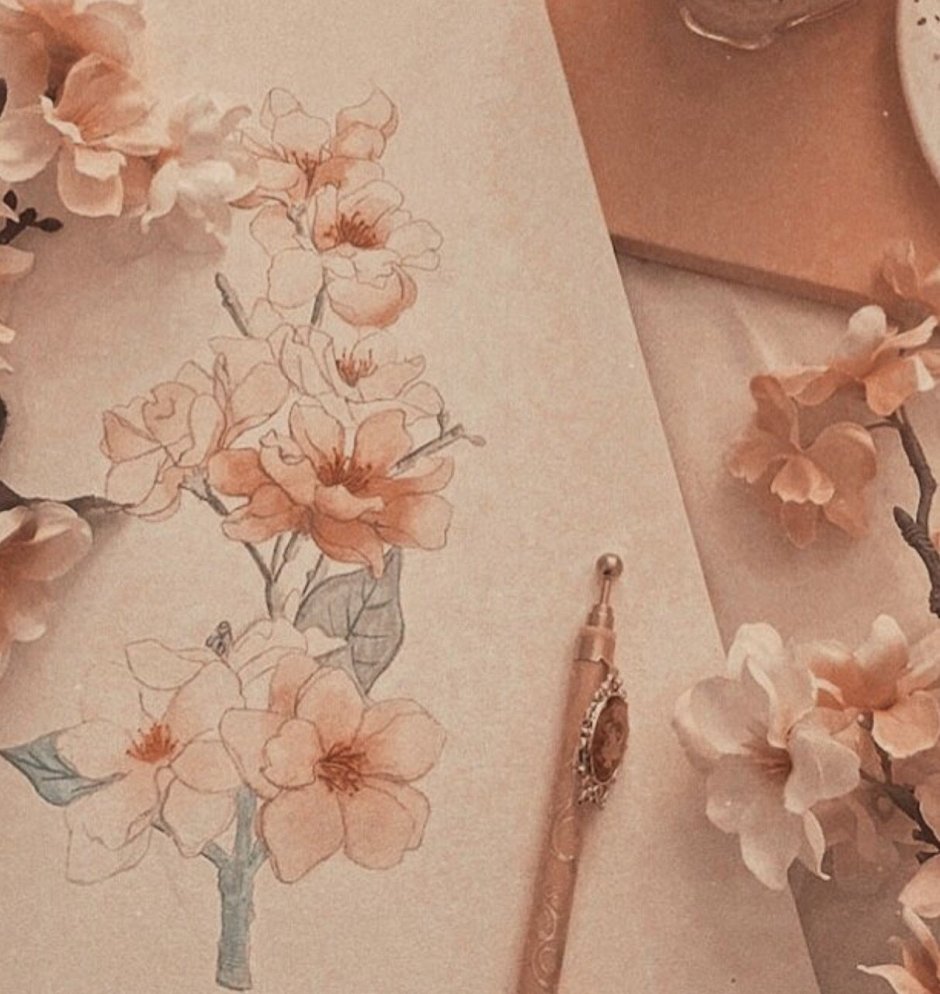 Бежево розовая Эстетика