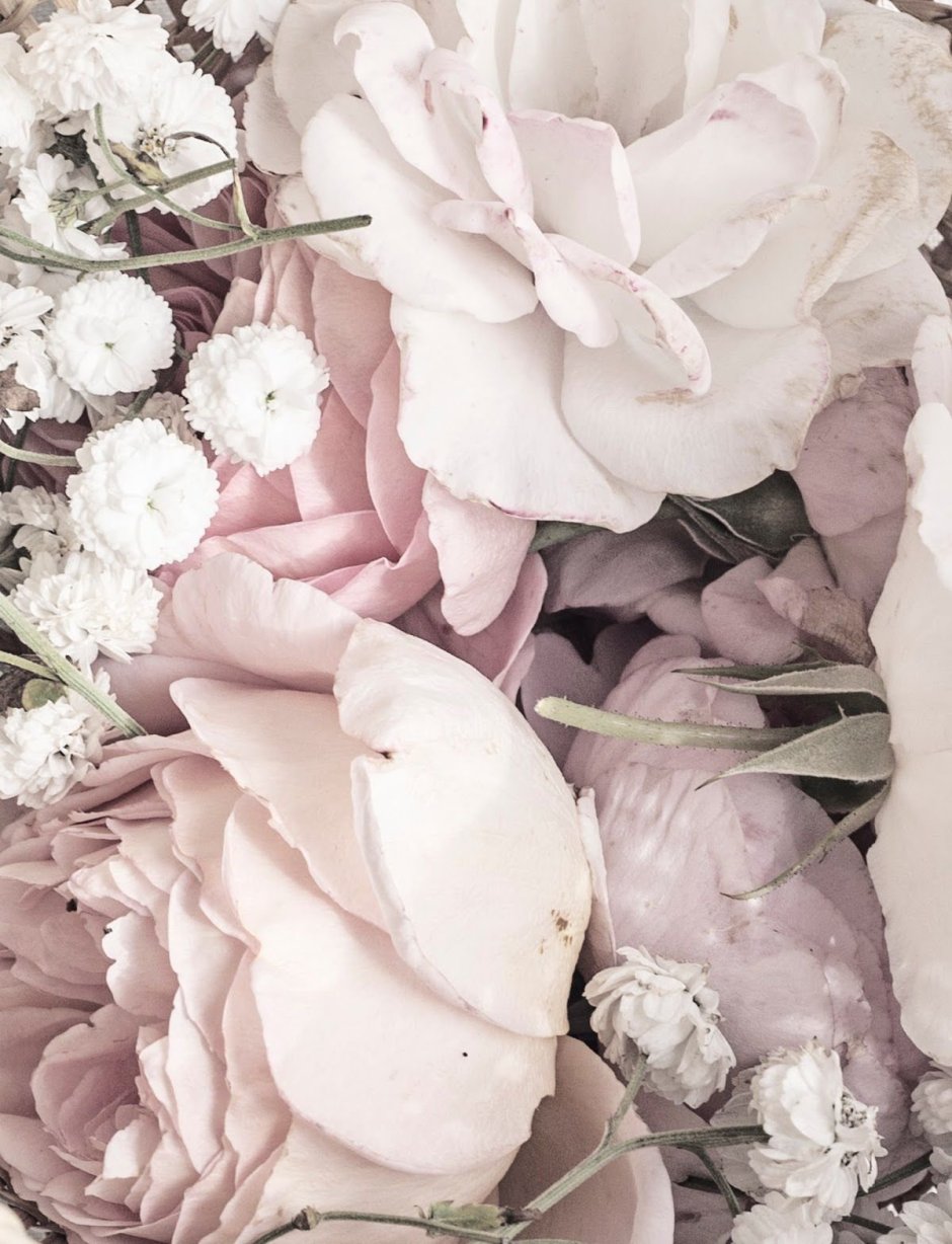 Нюдовые пионы