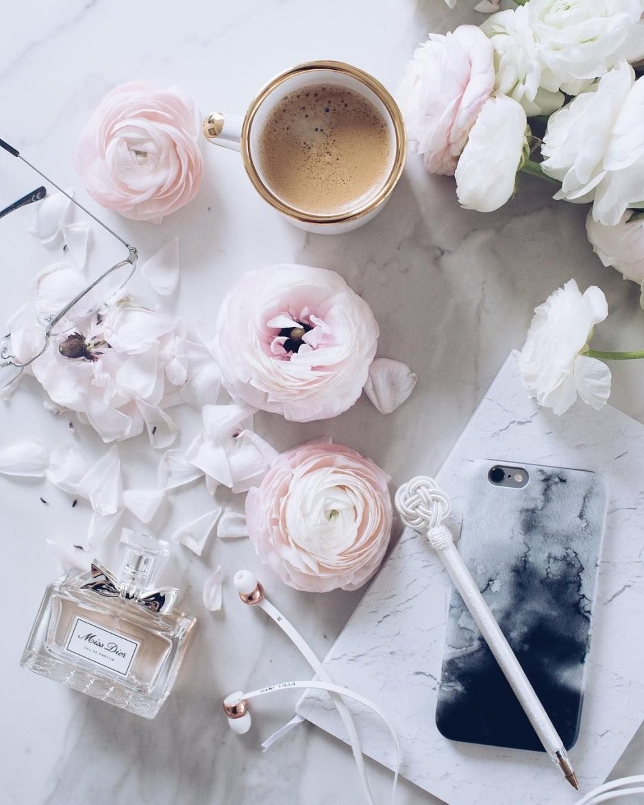 Светлая Эстетика