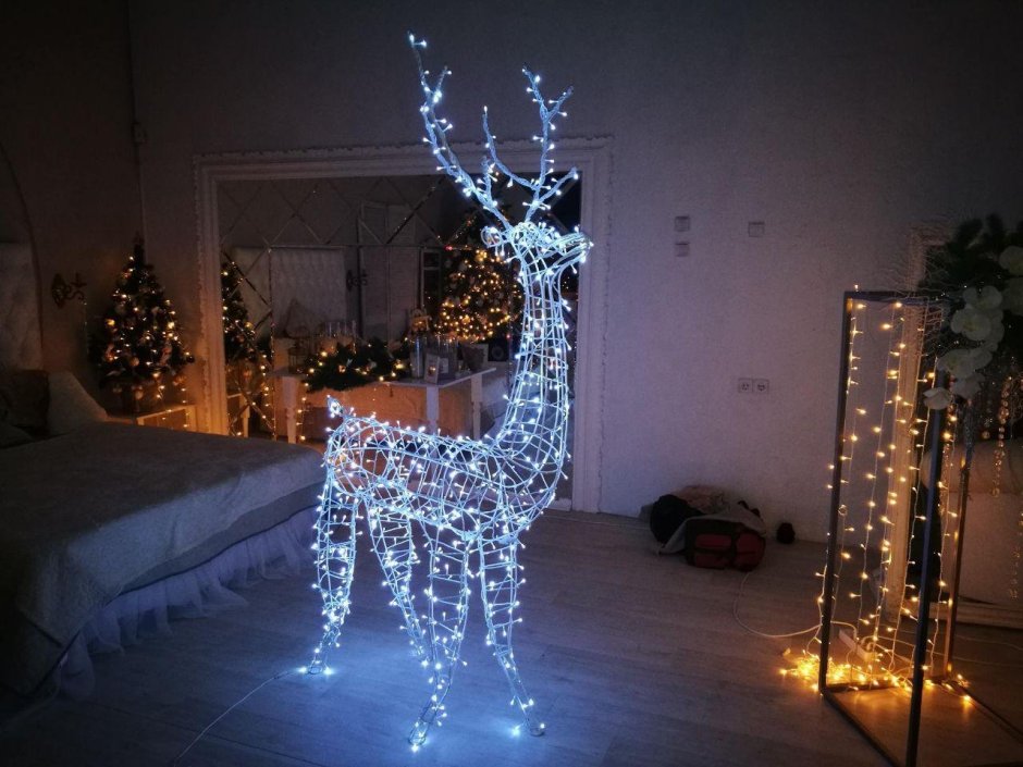 Подсветка деревьев