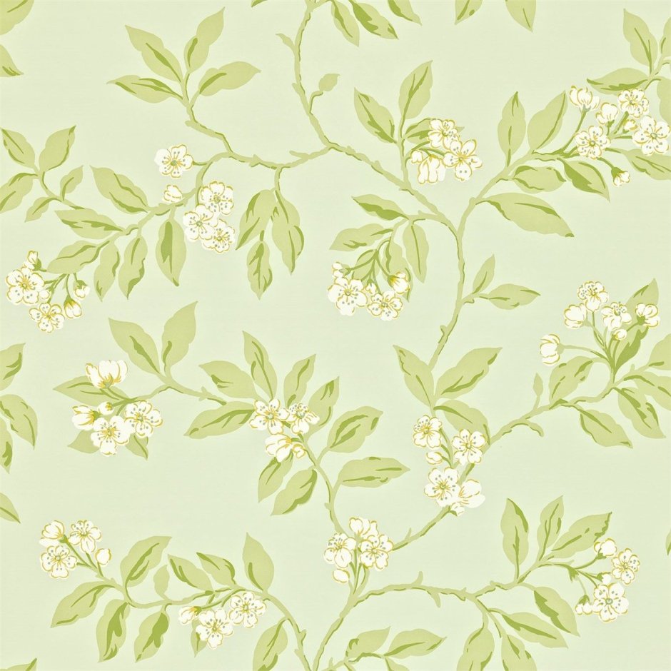 Обои Sanderson Maycott dmay211976