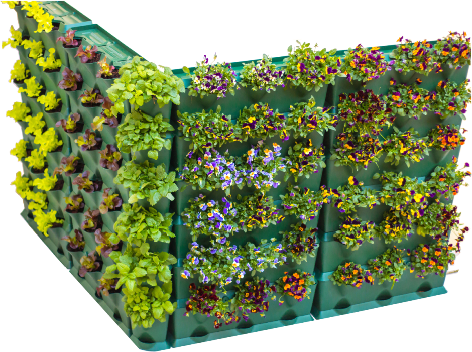 Minigarden система вертикального озеленения