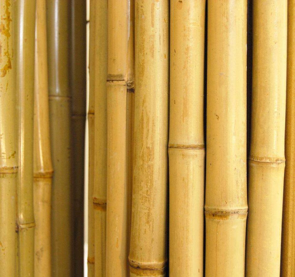 Bamboo-Roll natural 145х130 SM