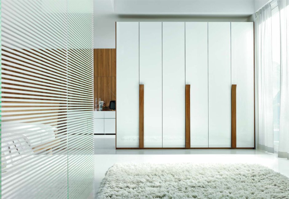 Шкаф встроенный Мистер Дорс