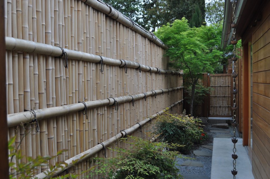Закрыть забор бамбуковой изгородью