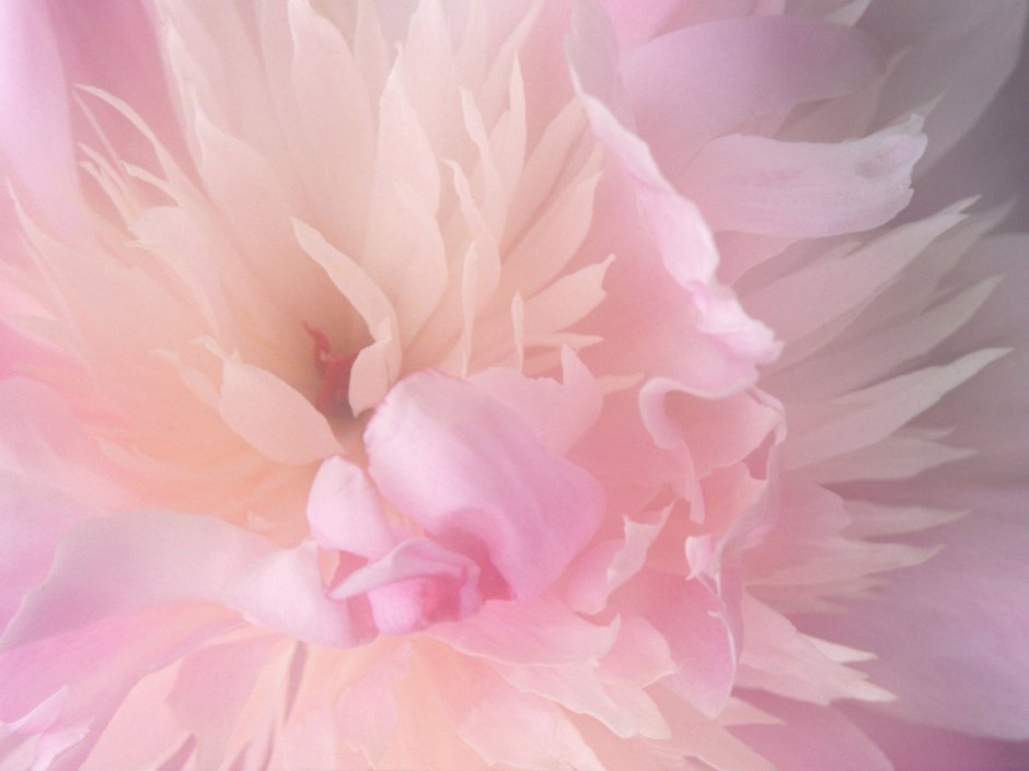 Нежно розовый