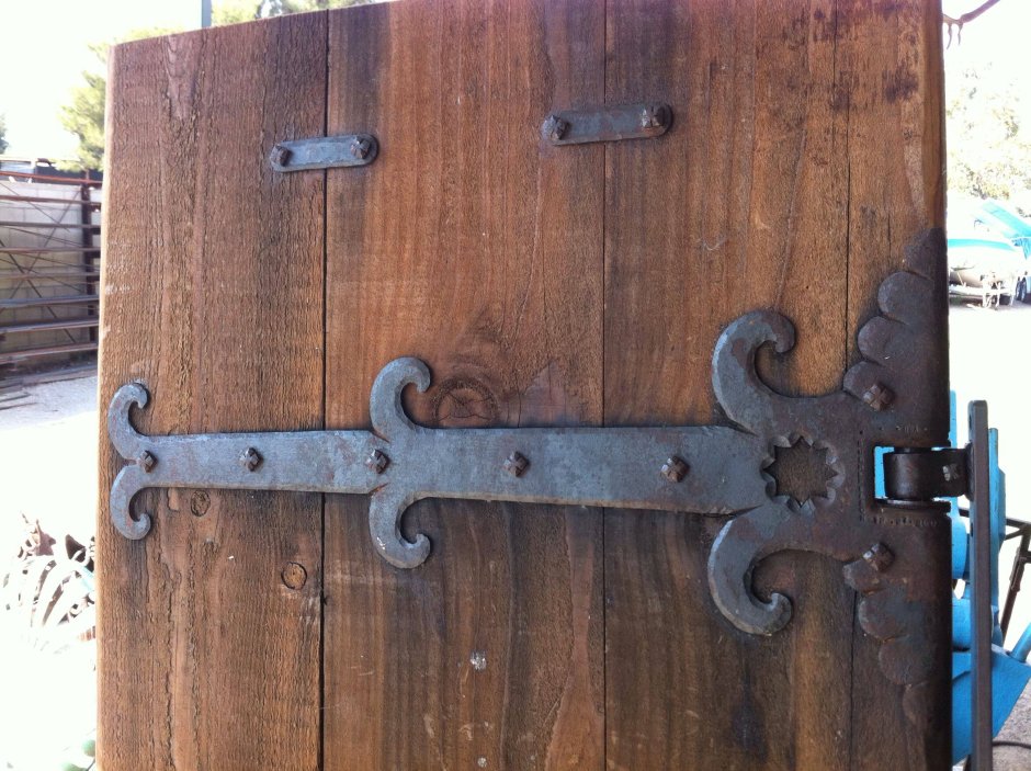 Кованые жуковины на двери