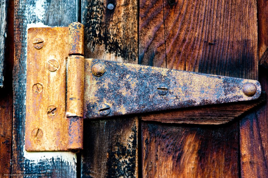 Петля дверная жиковина