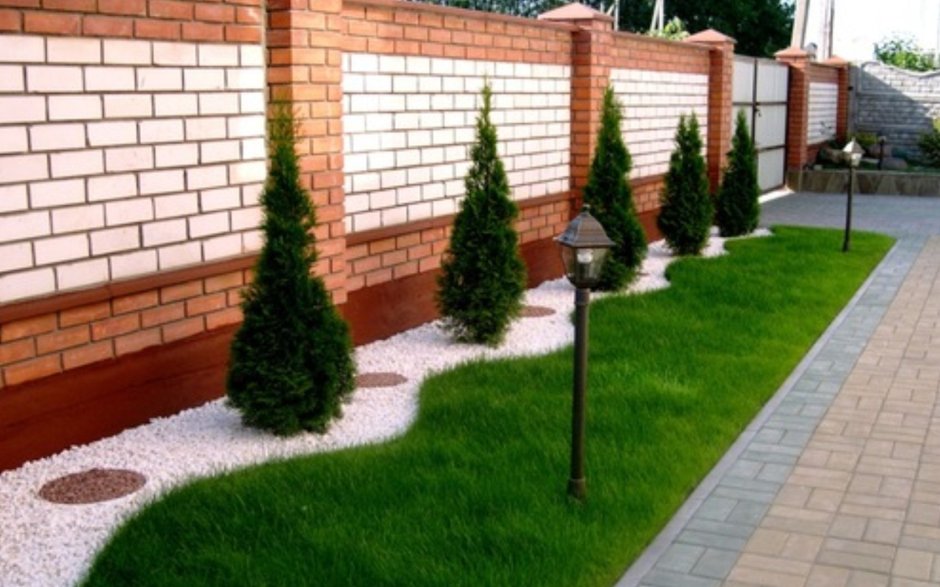 Палисадник из хвойников