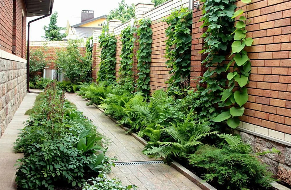 Клумба возле забора