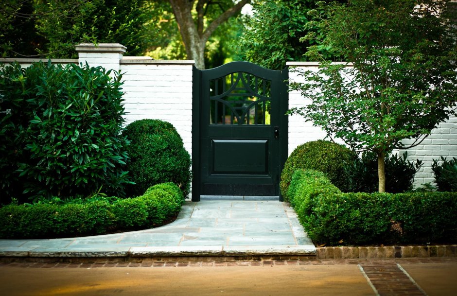 Озеленение вдоль забора