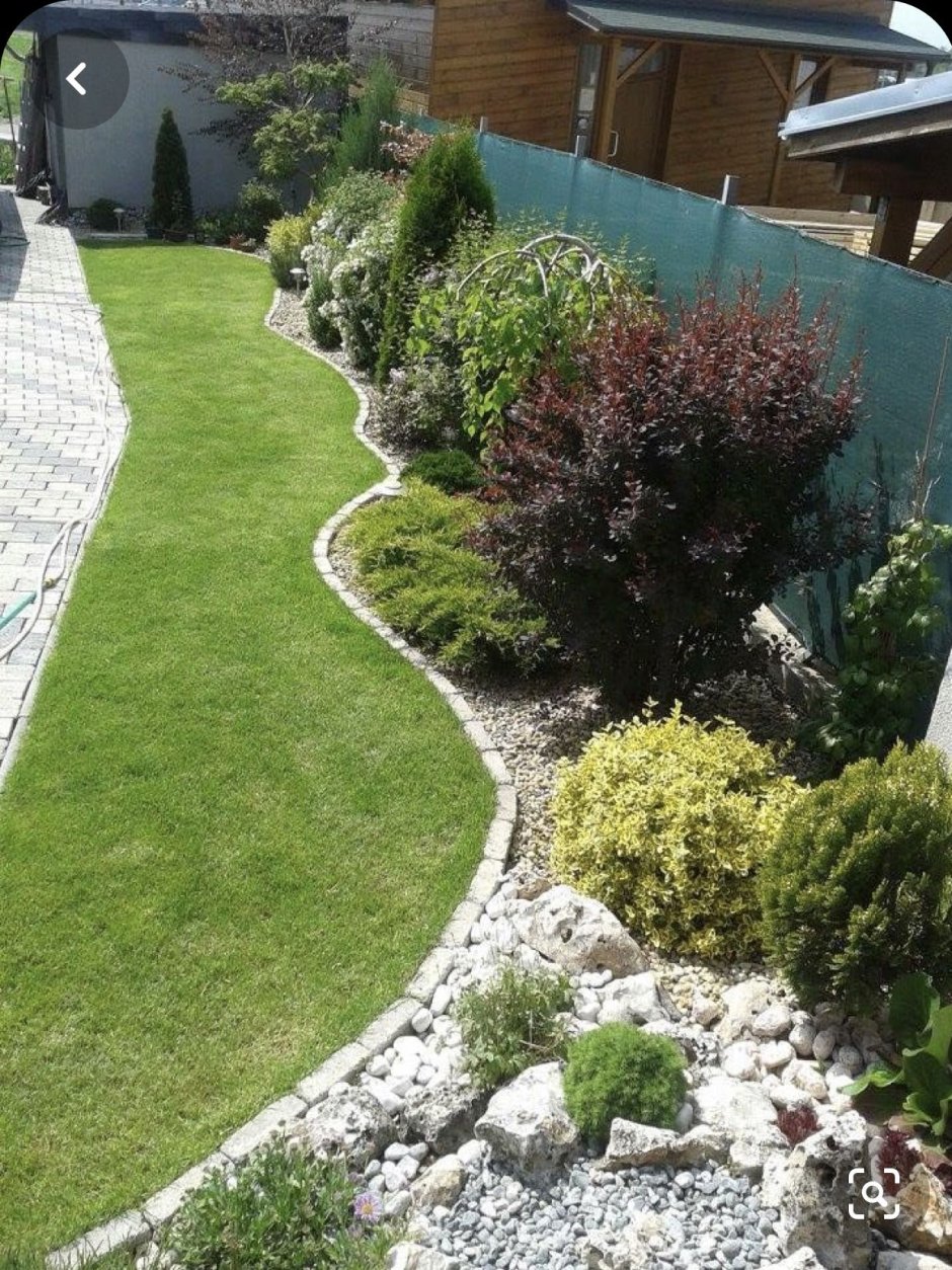 Можжевельник казацкий в миксбордере