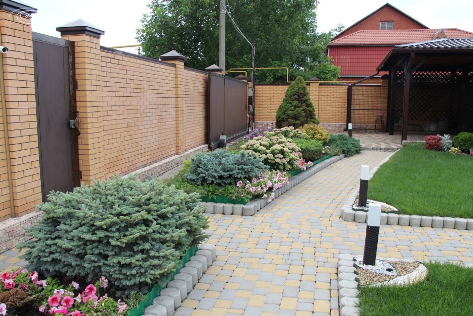 Палисадник Энфилд